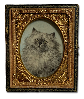 Portrait miniature by Harriet Vreeland Furness of a blue (gray) Persian cat